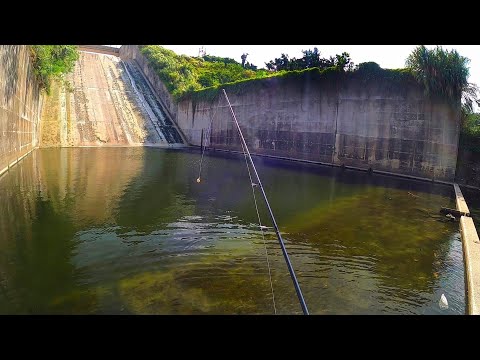 Vídeo: Melhores lugares para pesca esportiva na América do Sul