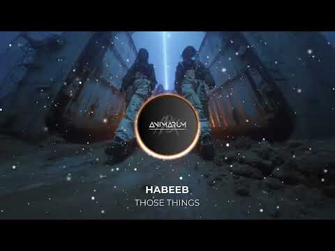 Habeeb - Those Things [Animarum Recordings]