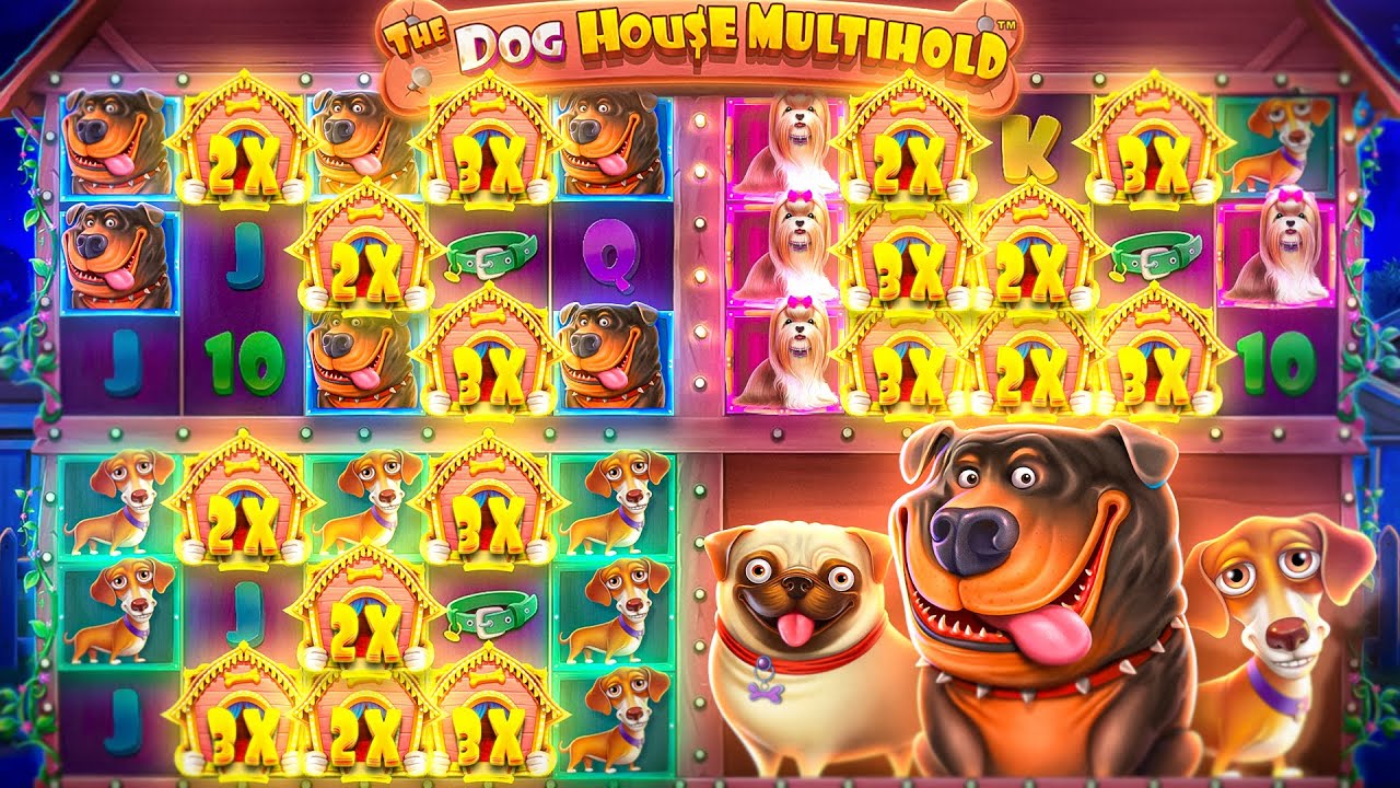 the dog house maxwin