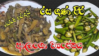 බෝංචි කරිය පරදන රසයක් ආලංගා ව්‍යංජනය recipe bymy recipe 