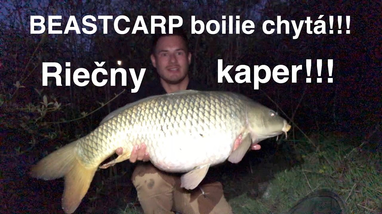 Lov kapra na Rieke.Riečny kaper na BEASTCARP boilie.Lov kapra 2020.