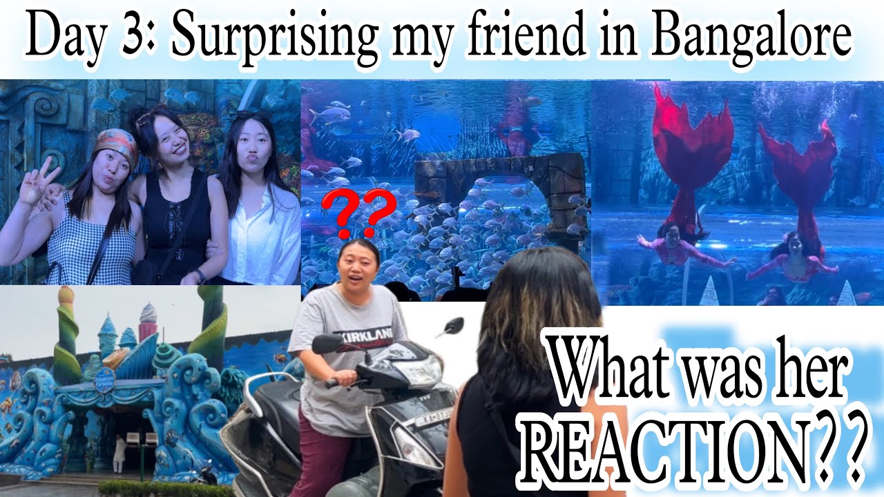 | Day 3: Exploring Bangalore | Paradise Aquarium & surprising a friend | Speechless Reaction❤️|
