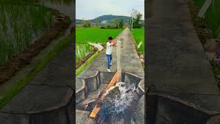 The Mystery of the Disappearing Dog In 3D Art Illusion #shorts #viral #trending