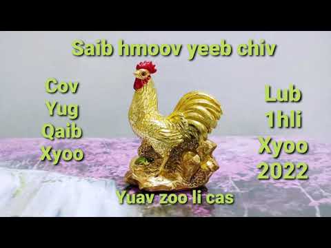 Video: Yuav Ua Li Cas Thov Rau Txoj Haujlwm Nrog Cov Txhais Lus