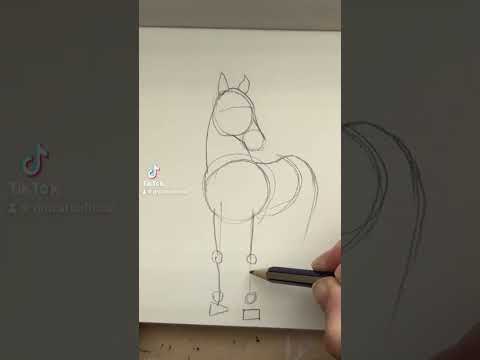 როგორ დავხატოთ ცხენი?/ #gmzatv