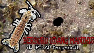 WOW !!! BERBURU UDANG MANTIS DI PULAU SAPUDI DAPAT SIZE JUMBO