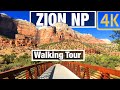 4K City Walks: Zion NP Utah Pa'rus River Trail - Virtual Walk Walking Treadmill Video free tour