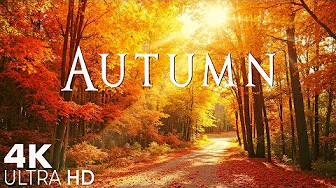 🍂Autumn 4K 🍁 Serene Fall Landscapes for Relaxation, Peace & Cozy Moments with Calming Piano Music
