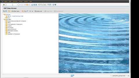 SAP S4 HANA Sales Order Header additonal data a and order data