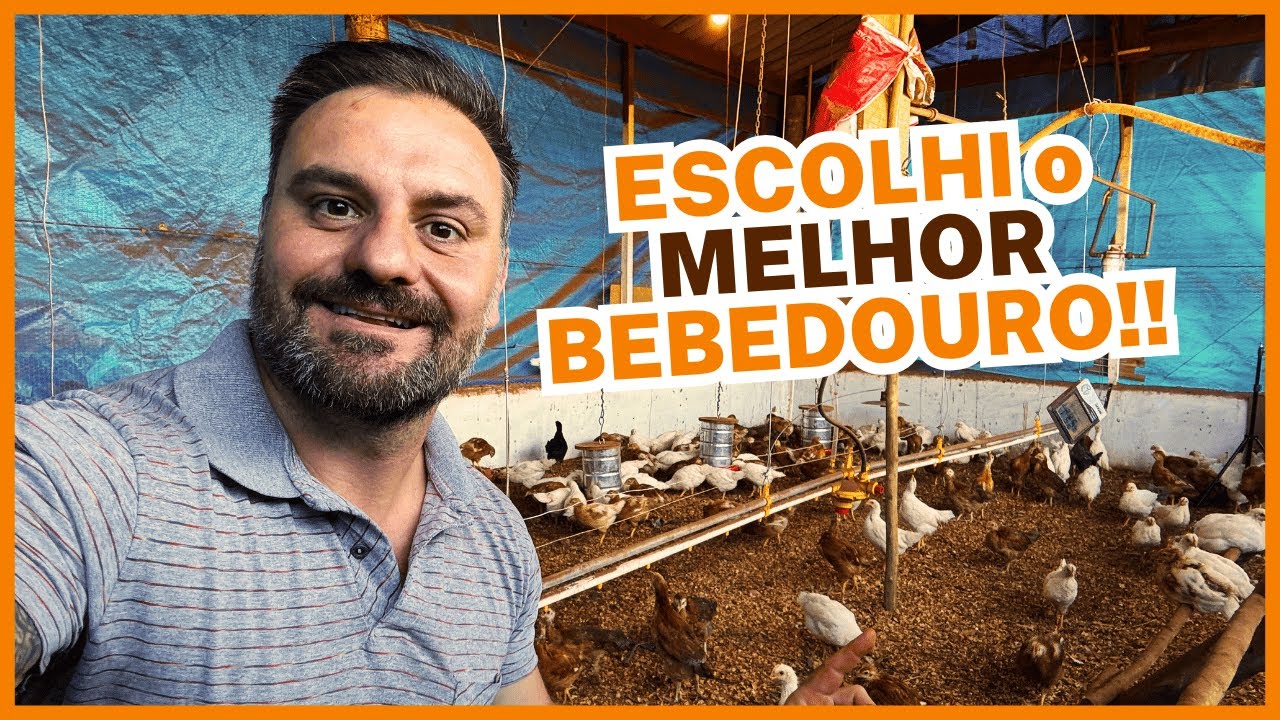 ESCOLHI O MELHOR BEBEDOURO para GALINHAS: É ESSA OPÇÃO!