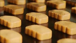 What Is An Sqf Pracioner?