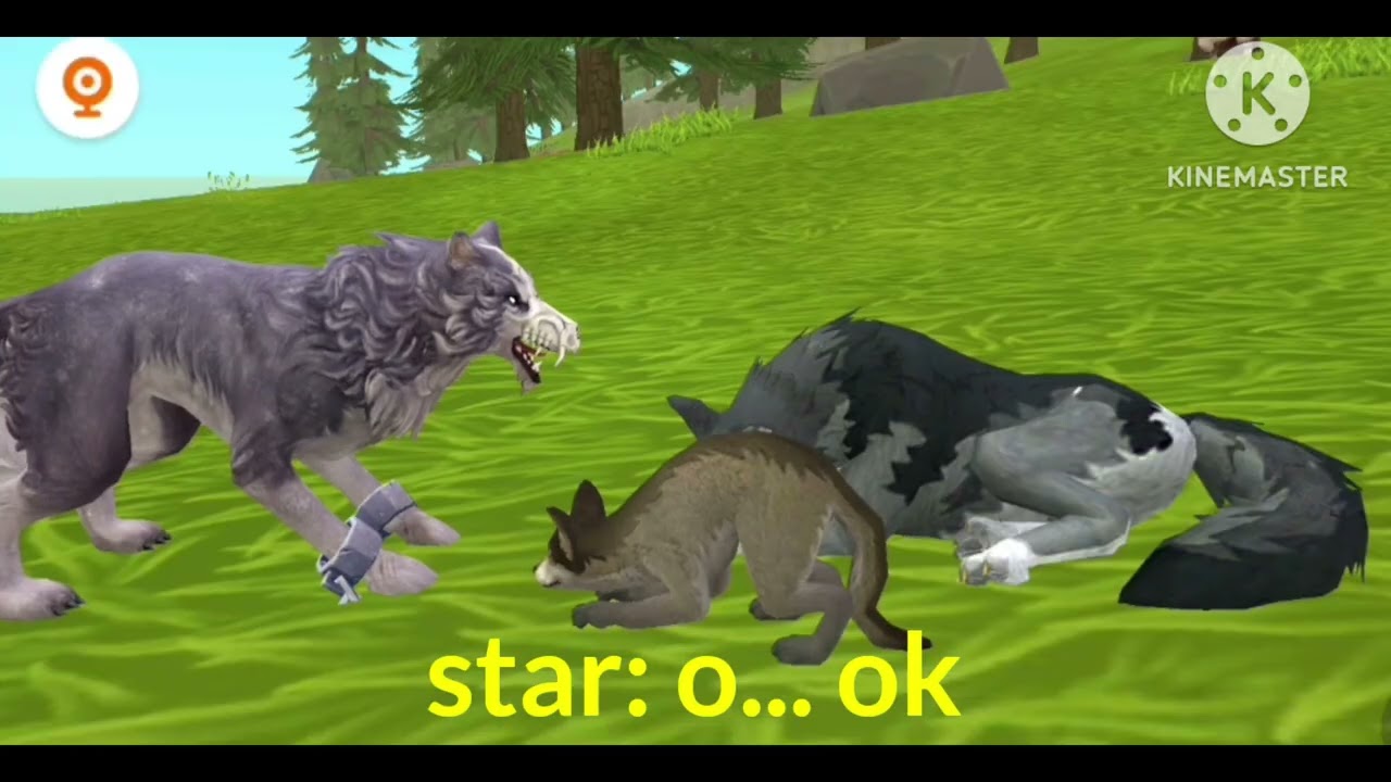 Part 2(story wolf :(  by coment she want part 2 from  @@Scitls._.441offical I gree part 2 descript//