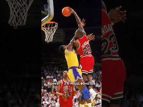 Топ 5 самых популярных видов спорта