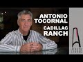 &quot;Cadillac Ranch&quot; de Antonio Tocornal: Explorando la Ruta 66 | Entrevista Exclusiva y Viaje Literario