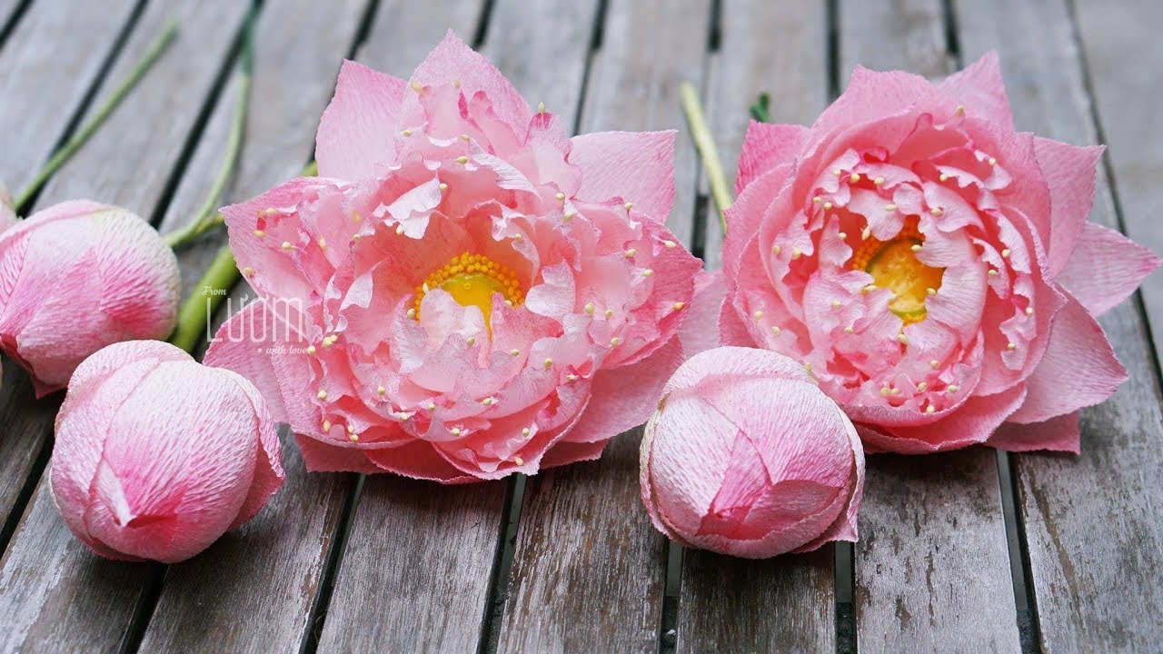 How to make lotus paper flowers (tutorial easy) | Cách làm hoa sen bằng giấy