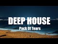 Pack Of Tears 🎧 Deep House Chill Out Music 🎧