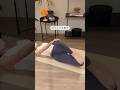 お腹痩せは背骨から🧘♀️✨ #お腹トレ #アラフォーダイエット #宅トレ #ダイエット