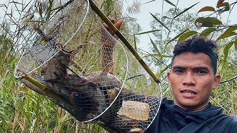 Trúng Đậm Cái Nào Cũng Dính CÁ LÓC CÁ TRÊ Khi Nước Lũ Tràn Bờ Hơn 10 KÝ Cá