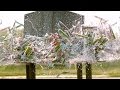 Massive Crusher - The Slow Mo Guys