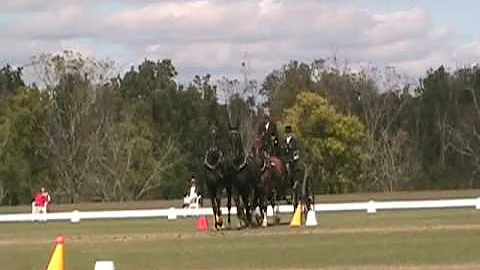 FEI Four in hand driving - Darryl Billings, cones