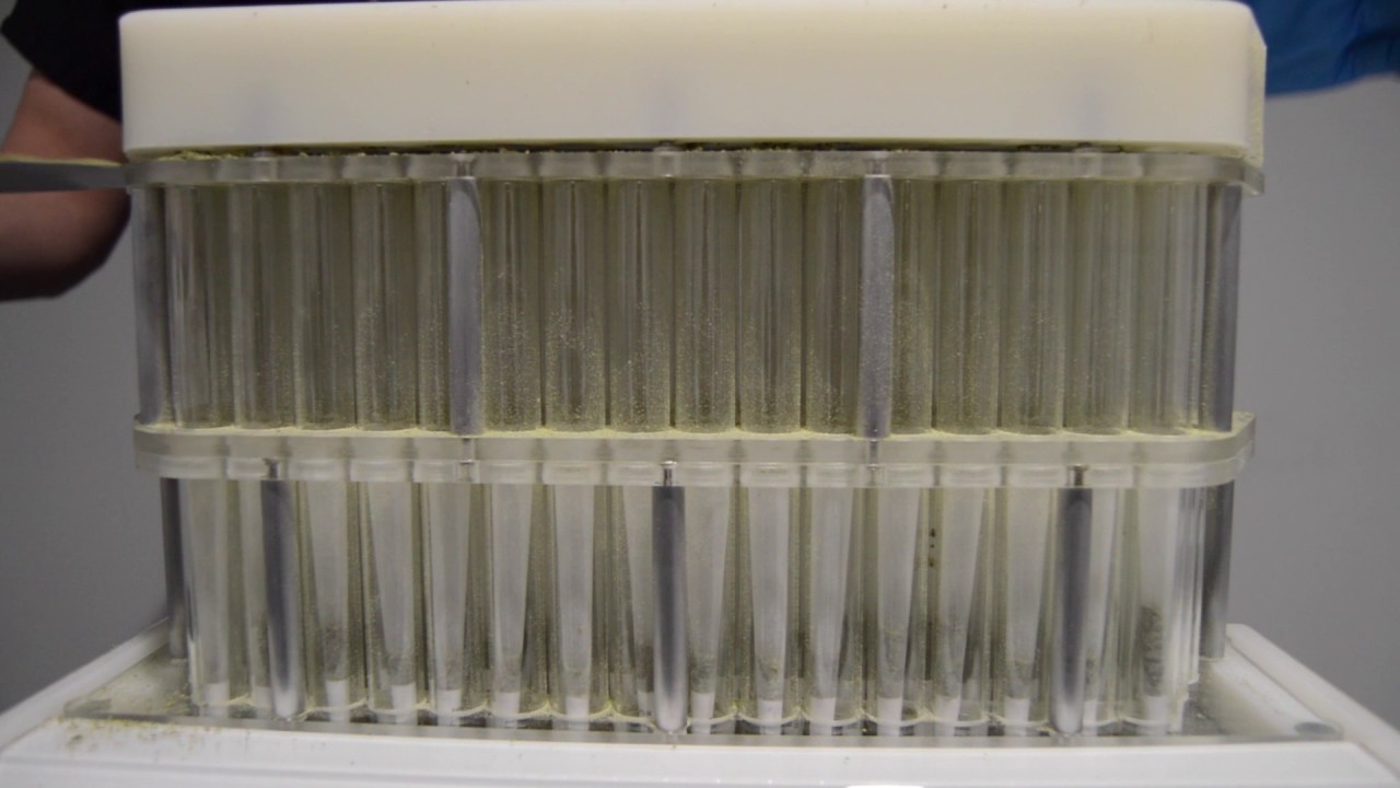 100 Pre-Rolls of Willie's Reserve in a Minute