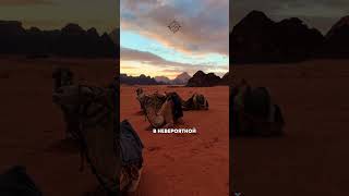 17 ноября 2025 г.