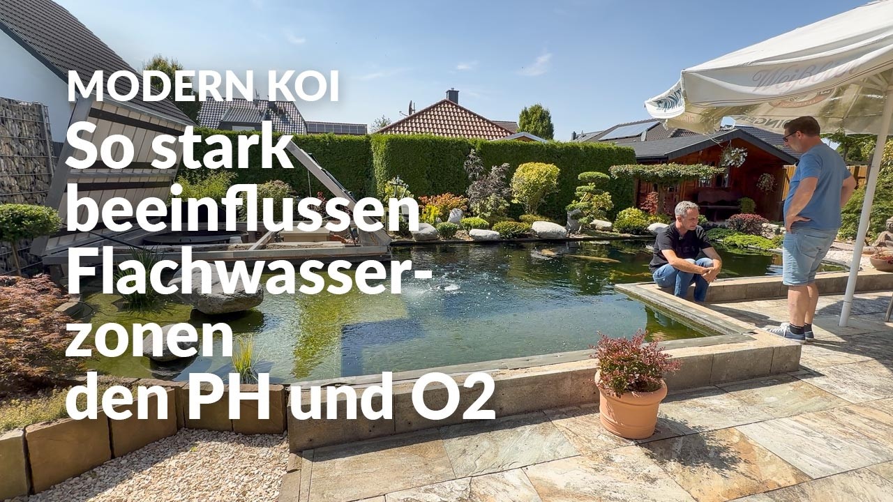 Eine Wasseranalyse an Timos Koiteich | Modern Koi Blog #8195