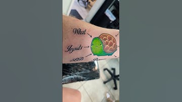 Turtle Diagram is done!