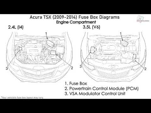 Acura TSX (2009-2014) Fuse Box Diagrams