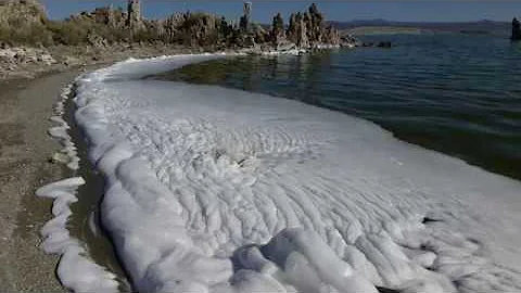 Mono Lake Foam