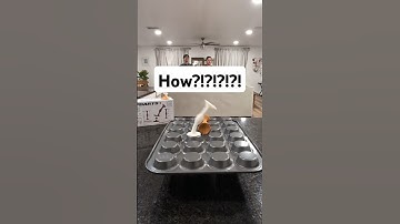 Cupcake Precision Challenge #popdarts #game #couple #couplegoals #trickshot @popdartsgame