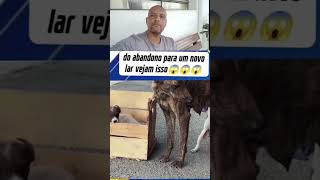 #cachorro#gatos#juntos