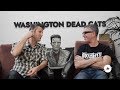 Capture de la vidéo Diggers Factory X The Washington Dead Cats I Focus Artist