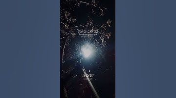 تلاوة خاشعة بصوت القارئ احمد النفيس