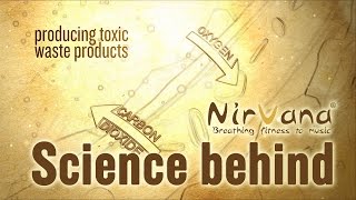 NirvanaFitness™ - Science behind