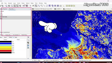 Video Tutorial Cara Membuat Peta Sebaran TSS dengan Menggunakan SNAP dan ArcGIS By Daniel BB