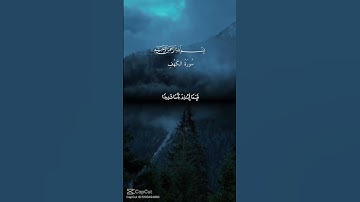جمعه مباركه على الجميع ❤💗#القرآن_الكريم #تلاوة_خاشعة #قرآن