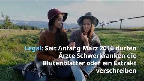 Bekifft am Steuer - ganz legal? Cannabis ist für kranke Autofahrer erlaubt.