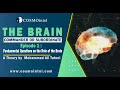 01 the brain commander or subordinate a documentary  episode 1  by mohammad ali taheri