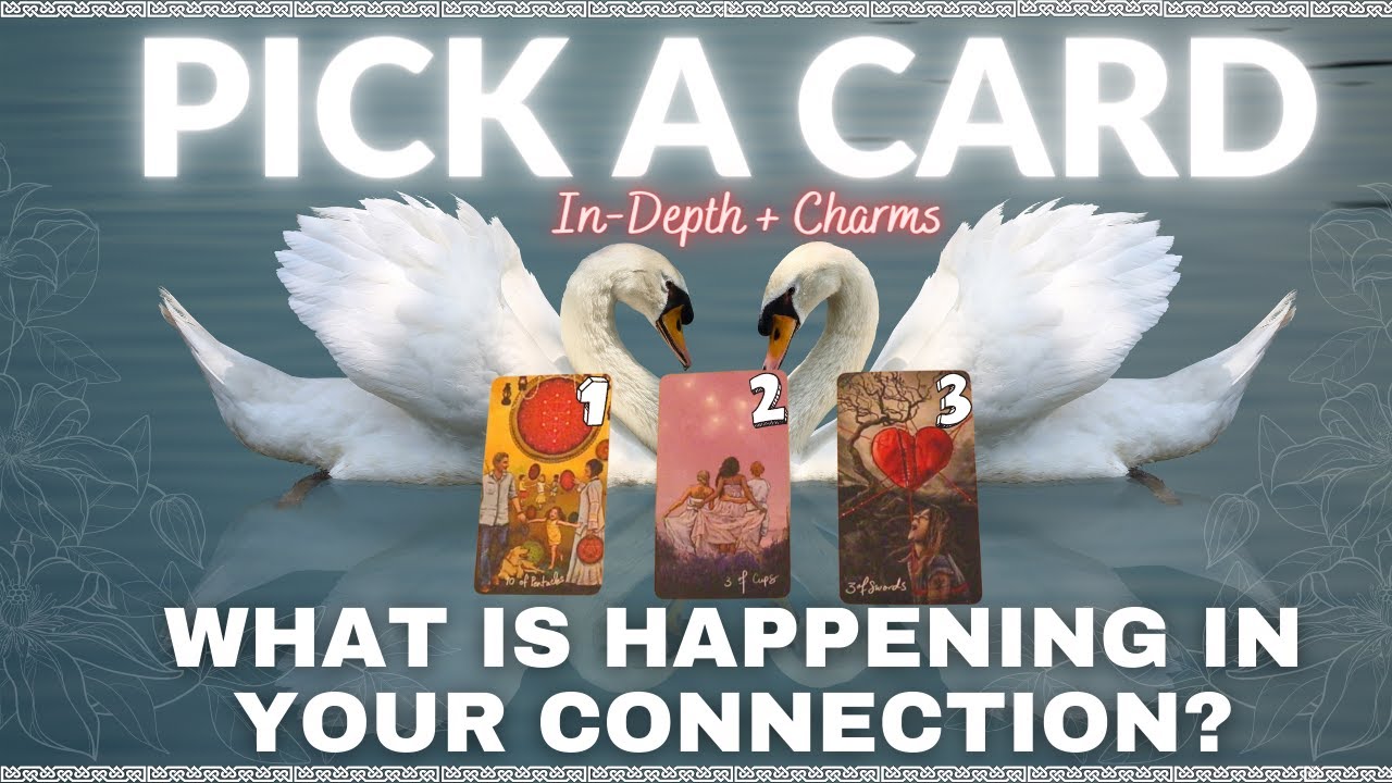 WHAT IS HAPPENING IN YOUR CONNECTION? 💞 PICK A CARD, Timeless Love ...