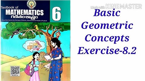 Basic Geometric Concepts || Ex-8.2