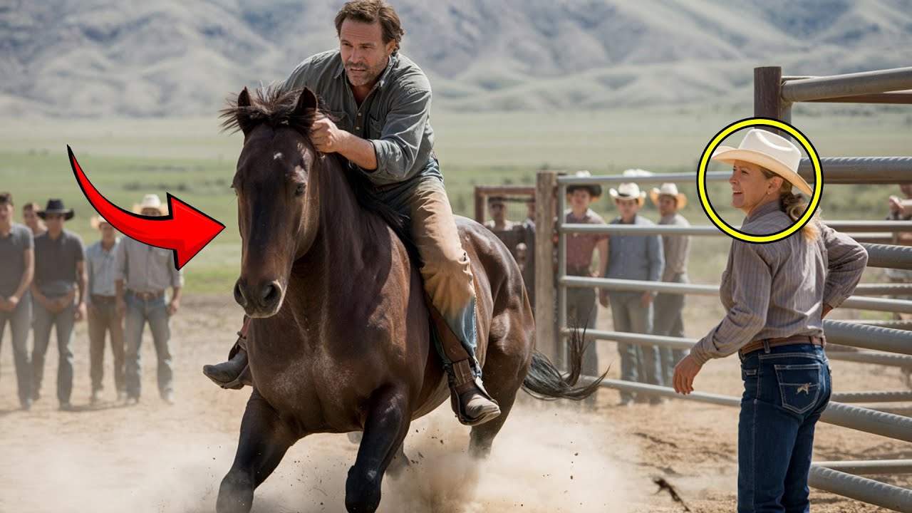 “If You’re a Real Cowboy, Prove It on My Stallion!” Says the Widow—25 Men Failed, Lonely Cowboy Won