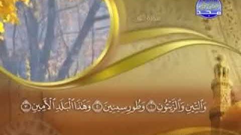سورة التين ماهر المعيقلي بدون إعلانات لوجه الله الكريم