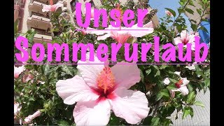 Vlogzeit #23 | Urlaub | es geht los | Teneriffa | Teil 1 | RealSweetSunny