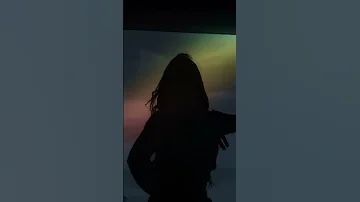 جيب عامر 