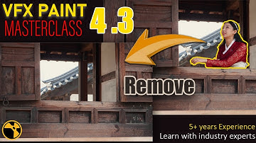 Removing Character from Shot in Nuke Tutorial  | VFX Paint Master Class | Module 4.3