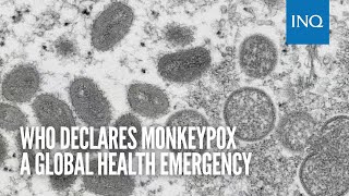 WHO declares monkeypox a global health emergency