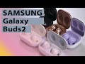 Обзор беспроводных наушников Samsung Galaxy Buds2 - отличная модель