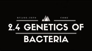 chapter 3.3 Lab diagnosis of bacterial infection