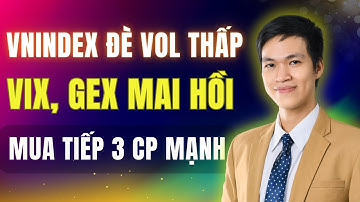 VIX và GEX Sắp Hồi Mạnh! Cơ Hội Đi Săn 3 CP Mạnh Cho Nhà Đầu Tư